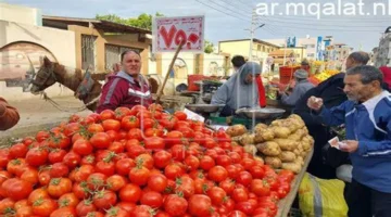 تراجع أسعار الخضروات.. سعر كيلو الطماطم يسجل 10 جنيهات في الأسواق المصرية